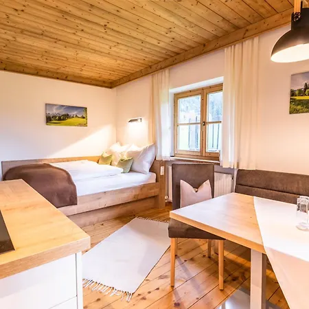 Neuhaus Apartment Kitzbuhel